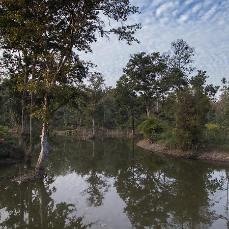 Wowstayz Pachmarhi Ecotel Esterno foto