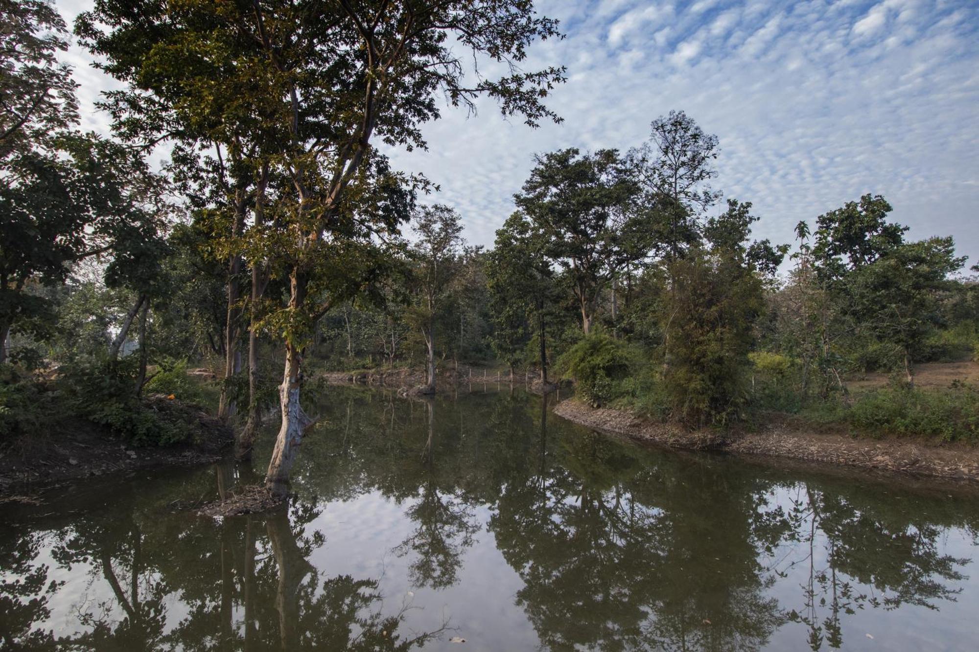 Wowstayz Pachmarhi Ecotel Esterno foto